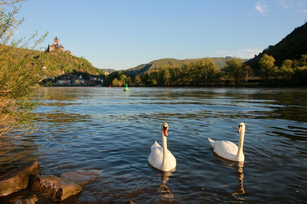 Hotel Klasen Кохем Экстерьер фото
